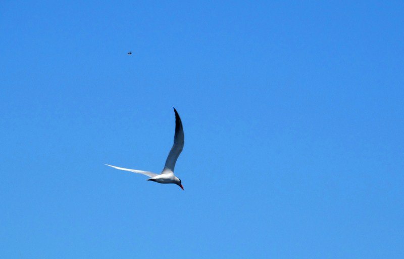 DSC07120