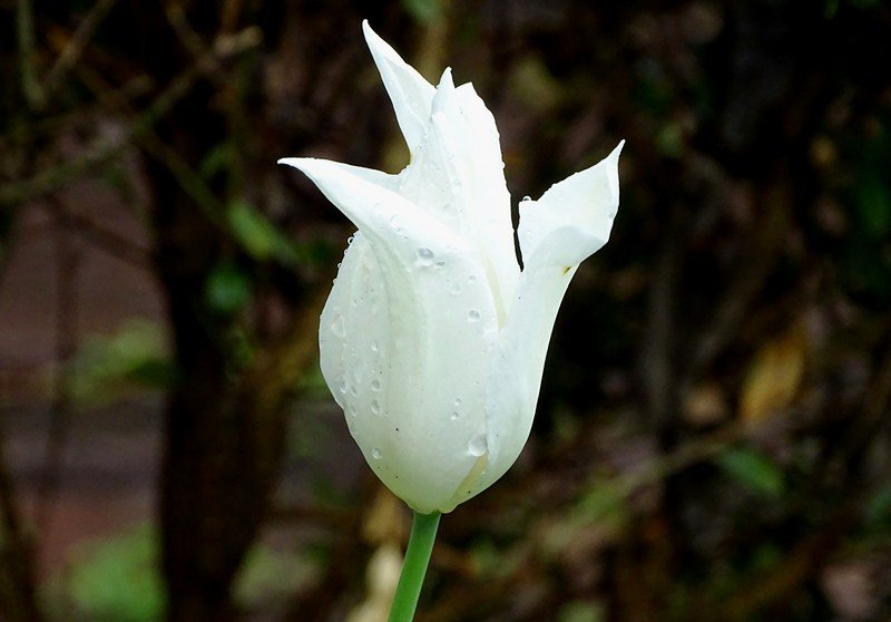 DSC00570