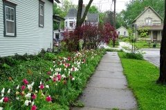 DSC00505
