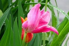 DSC00543