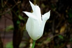 DSC00570