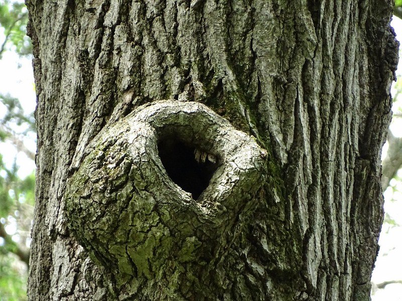 DSC01020