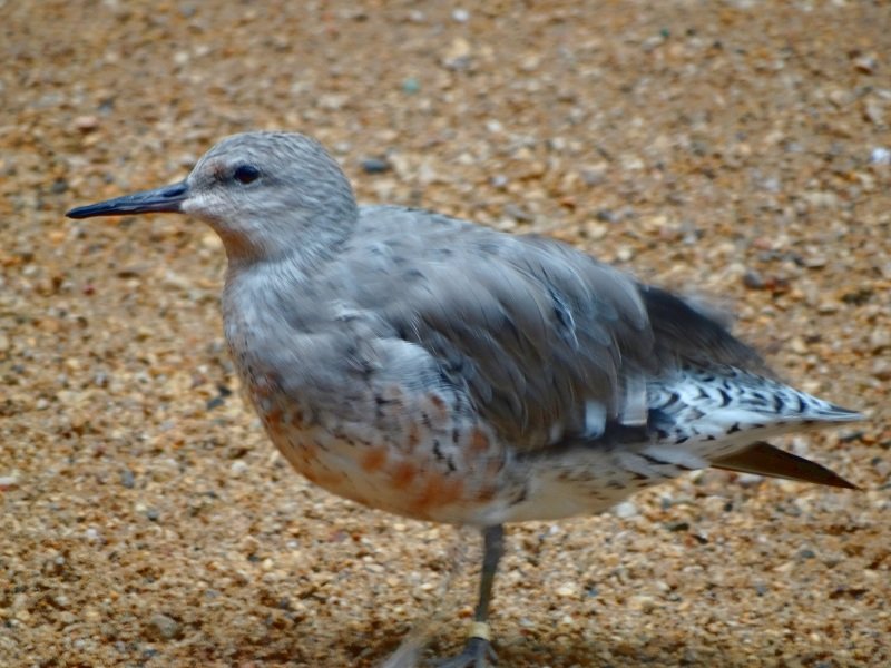 DSC03208