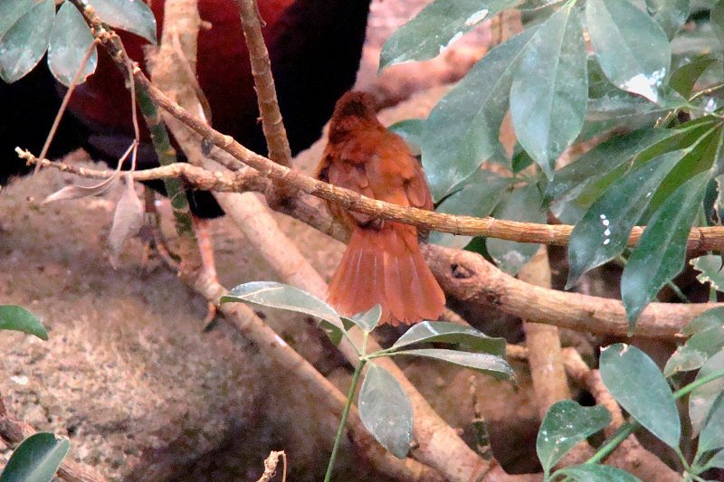 DSC08511