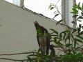 DSC03435