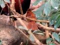 DSC08511