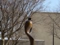 DSC02389