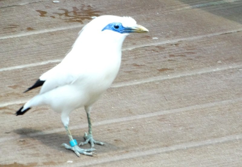 DSC03298
