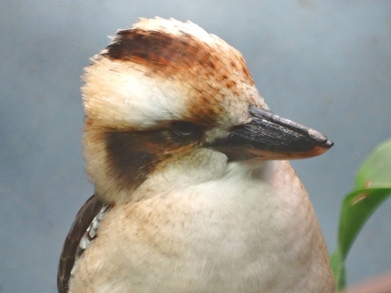 DSC03404
