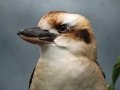 DSC03405