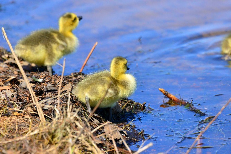 CDD_4883