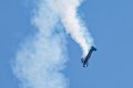 DZ8_8861