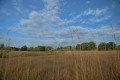D85_1551a