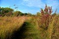 D85_1552a