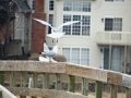DSC03985.JPG