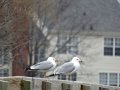 DSC03989.JPG