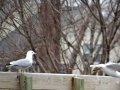 DSC03992.JPG