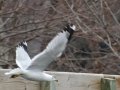 DSC03994.JPG