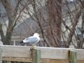 DSC04000.JPG