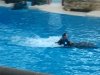 dsc03935s