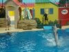 dsc03944s