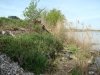 dsc08981