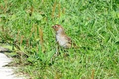 DSC04078
