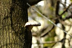 DSC03372