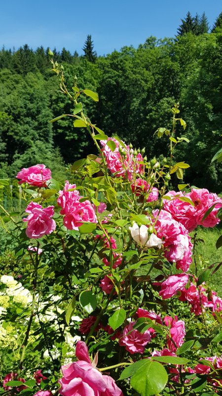 20190629_132153