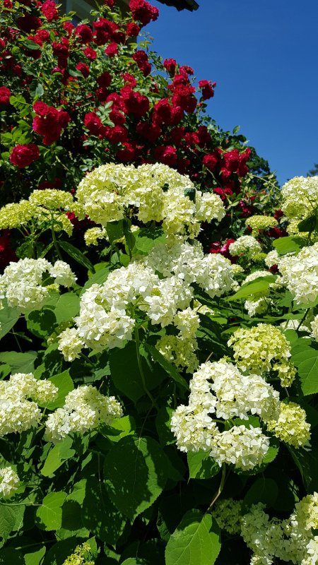 20190629_132631