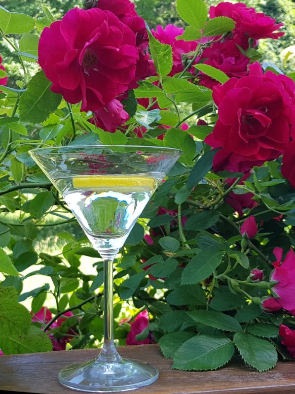 20190629_135856