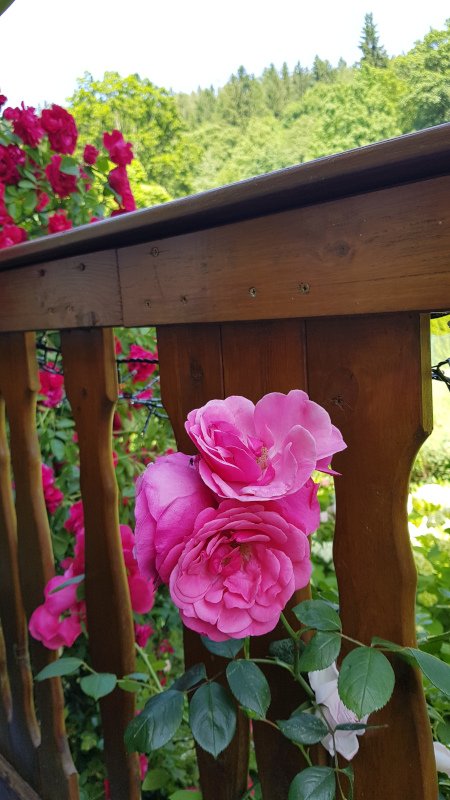 20190629_143210