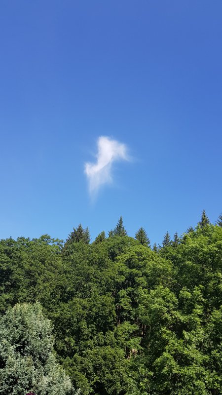 20190629_155301