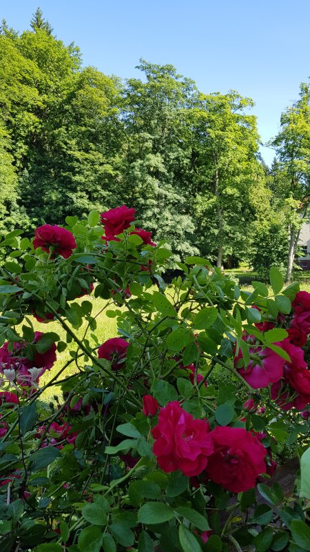 20190629_162223