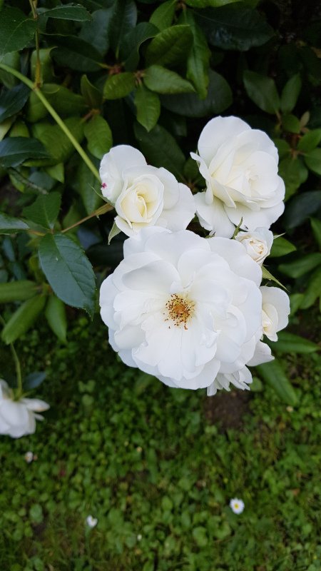 20190629_162416