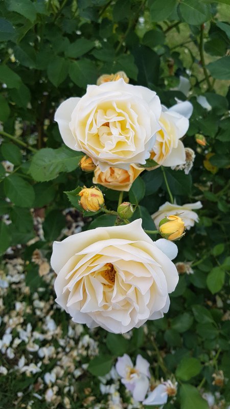 20190629_194005