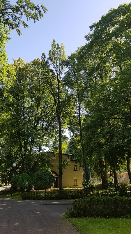 20190630_095616