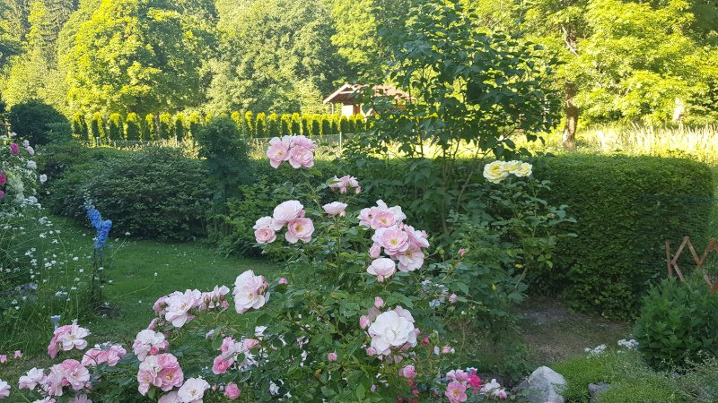 20190630_175450