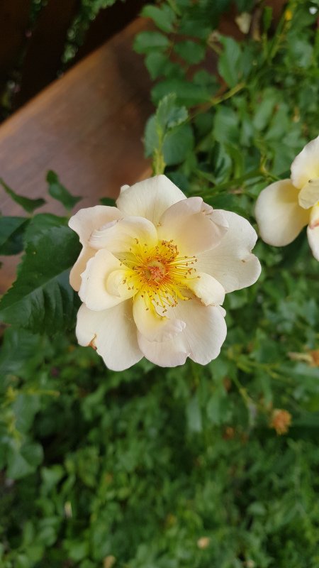 20190701_140829