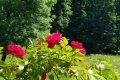 20190629_132321