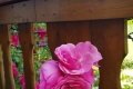 20190629_143210