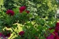 20190629_162223