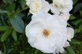 20190629_162416
