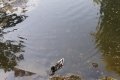 20190629_192707