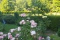 20190630_175450
