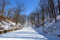 DSCN5382