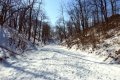 DSCN5384