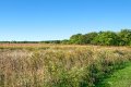 D85_2322