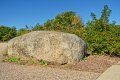 D85_2332