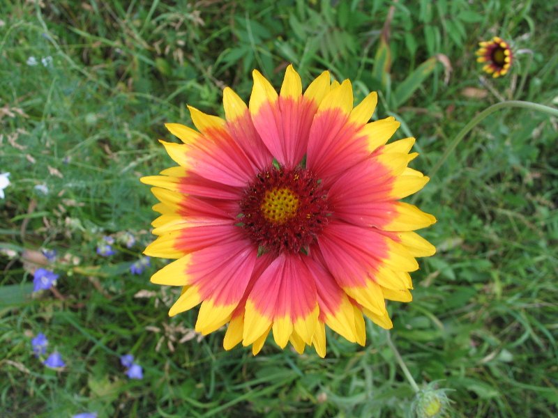 353_5342